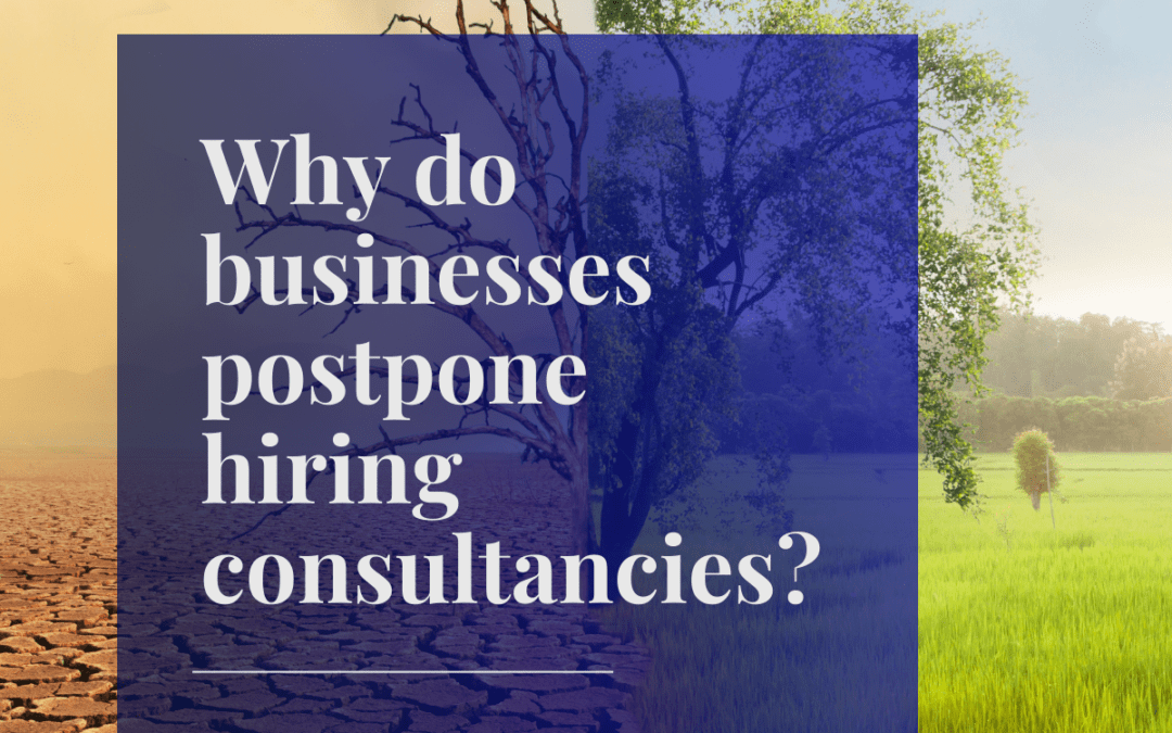 Why do businesses postpone hiring consultancies?
